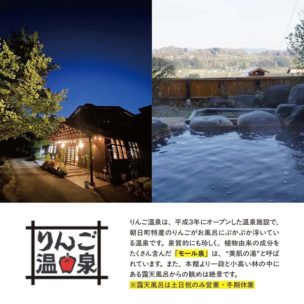 山形県 朝日町「りんご温泉」入浴回数券（11回分） 温泉 モール温泉 送料無料