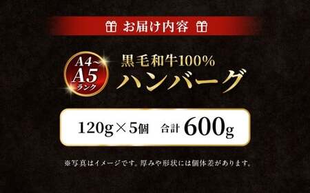 【A4～A5ランクの黒毛和牛100%】 ハンバーグ 120g×5個 （計600g） ／ 黒毛和牛 黒毛和種 和牛 国産牛 牛肉 お肉 肉 大阪府 阪南市 冷凍