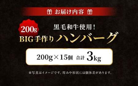 黒毛和牛使用！ 200gのBIG手作りハンバーグ 200g×15個 （計3kg） ／ ハンバーグ 黒毛和牛 黒毛和種 和牛 国産牛 牛肉 お肉 肉 大阪府 阪南市 冷凍