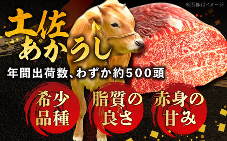 土佐あかうしカレー（パウチ） 2食セット/レトルト カレー 土佐あかうし 牛肉 牛カレー 保存食 常備 5000円以下 3000円【株式会社 四国健商】[ATAF161]