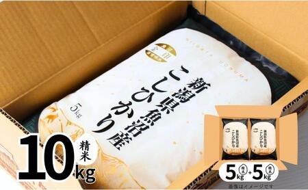【定期便全3回毎月発送】魚沼産コシヒカリ金印(精米)10kg 米 こしひかり 定期 新潟 十日町市