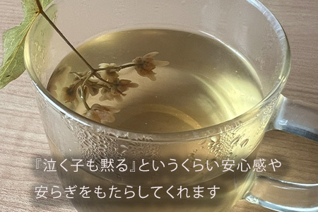 ハーブティー リンデンフラワー 美瑛ハーブ乃々 | リラックス ギフト プレゼント おすすめ ティーパーティー ポット チカラノハーブ [009-37]