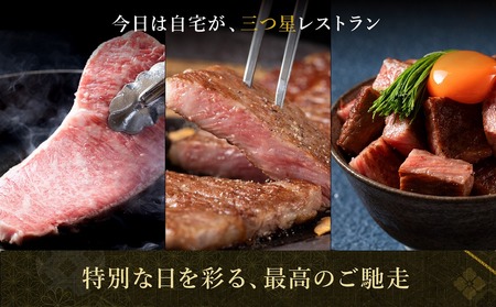 極上松阪牛 堪能コース (定期便 5か月) 全5回 牛追道中 US32【M1704】
