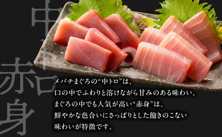 【 高島屋 バイヤー セレクション 】 三崎まぐろ お試し 詰合せ M038-001 冷凍 マグロ