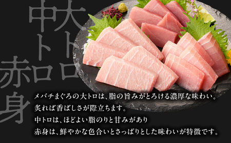 【 高島屋 バイヤー セレクション 】 三崎港 直送 天然 目鉢まぐろ セット M038-002 冷凍 マグロ