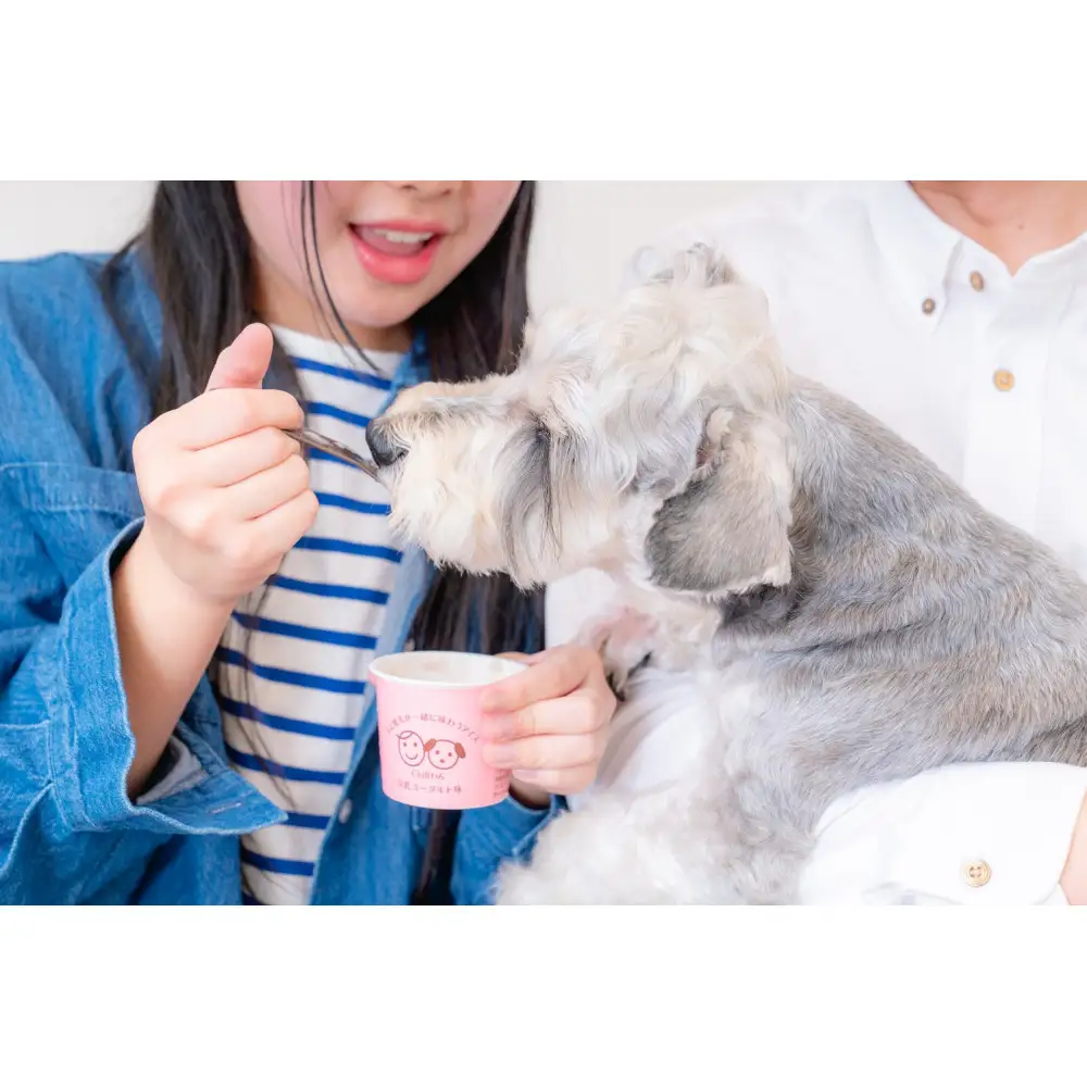 豆乳ヨーグルトアイスセット(信州りんご果肉入り) 豆乳ヨーグルトアイス120ml×4個 Chillわんオリジナルスプーン×1個 | 豆乳 ヨーグルト アイス 愛犬