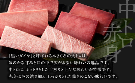 【 高島屋 バイヤー セレクション 】 天然 本まぐろ 詰合せ ＜ 竹 ＞ M038-006 冷凍 マグロ