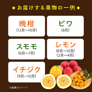S096-004_季節のおまかせ野菜と果物セット　