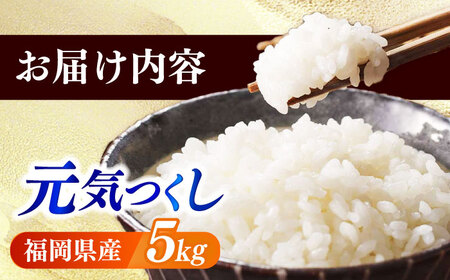 【令和7年産】果物屋さんが選んだ米 元気つくし 5kg 米 白米 お米 ブランド米[ABET010]