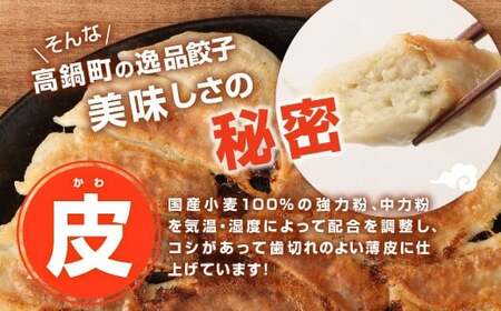 ＜たかなべギョーザ 冷凍ギョーザ 30個 計600g＞2ヶ月以内に順次出荷 餃子 ぎょうざ ギョウザ 惣菜 冷凍 おかず 宮崎県 高鍋町【TVで話題沸騰！】【c1526_tk】
