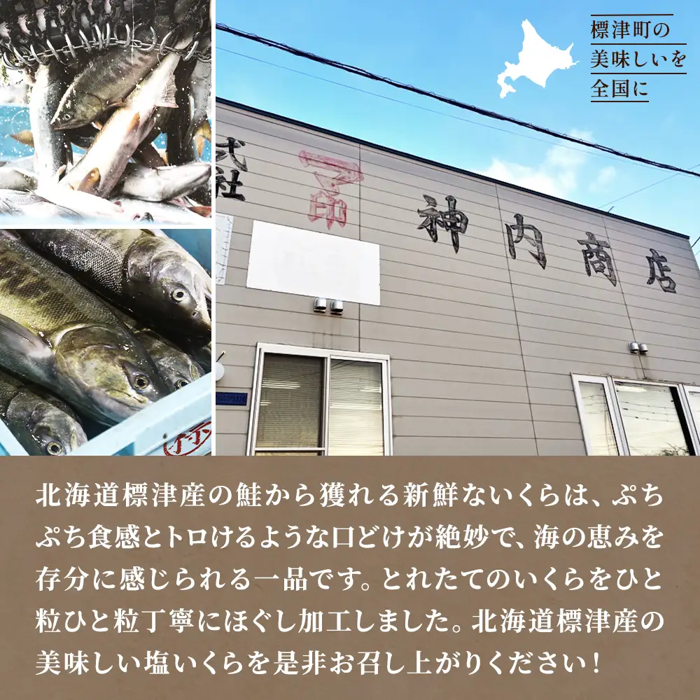 【塩いくら】マ印 鮭 塩いくら 500g 北海道産 塩漬け 【BB001】