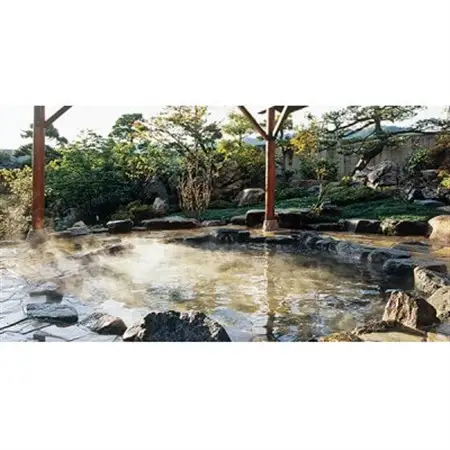 天橋立・岩滝温泉 ホテル喜楽家(本館)　冬の味覚!松葉ガニづくしプラン ペア宿泊券(1泊2食付き)【1693332】