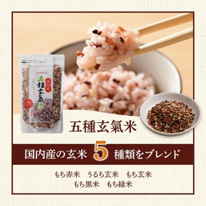 人気雑穀米&こだわり調味料お試し便 _ 雑穀米 3種 調味料 2種 お試し セット 詰め合わせ 人気 こだわり GABA雑穀米 美人雑穀米 五種玄氣米 八宝だし ナチュラルクック だし 和風だし 減塩 減糖 料理 健康 ギフト用 お取り寄せ 福岡県 久留米市 送料無料  〔Gr071〕