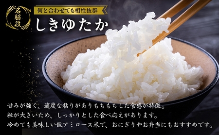 定期便【令和8年 先行受付】しきゆたか 白米 10kg 6か月連続お届け
