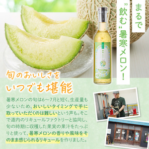 リキュール 暑寒メロンリキュール 300ml × 2本