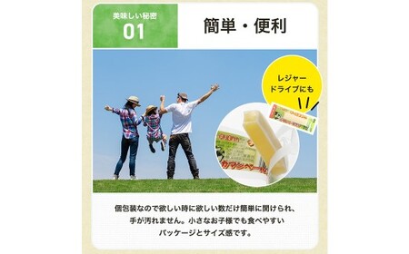 【6ヶ月定期便】 濃厚チーズの一口チーズおやつ 個包装 約300g×1袋 （計約1.8kg） 6回定期便 カマンベール 魚肉シート チーズ おやつ 加工品 定期便 国産 愛媛 常温 【えひめの町（超）推し！ （松前町）】 （941）