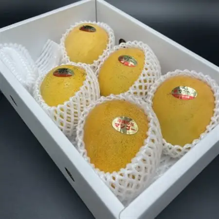 【2026年7月から順次発送・家庭用】名物おじーが作る幻の金蜜マンゴー2kg(4～6玉)【配送不可地域：離島】【1694702】
