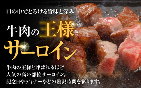 【お中元対応可】【ナイフ不要。3分で完成する贅沢！】長崎和牛 サーロインサイコロステーキ 400g / サーロイン さーろいん サーロインステーキ ステーキ ステーキ肉 サイコロステーキ 国産 和牛 牛 a5 牛肉 / 諫早市 / 野中精肉店[AHCW148]