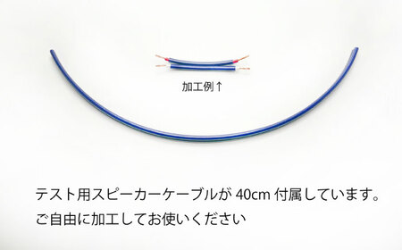 アクティブトロンプラス スピーカー用 SP-1S 2個組 / ノイズフィルター オーディオ　音質向上 高音質 / 諫早市 / オーディオ・ラボ有限会社[AHDF007]