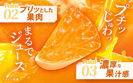 ※【2026年11月より順次発送／先行予約】【食べる濃厚ジュース】佐瀬みかん 10kg / みかん ミカン 蜜柑 オレンジ 柑橘 フルーツ ふるーつ 果物 くだもの みかんジュース 甘い / 諫早市 / 一正[AHFL002]