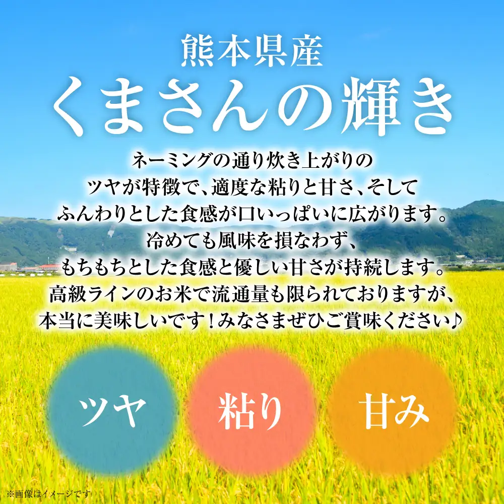 【令和7年産】 熊本県産 くまさんの輝き 5kg (5kg×1袋) 米 お米 精米 白米 ごはん ご飯 熊本県 八代市