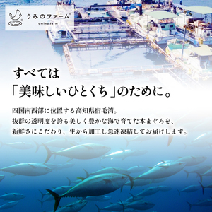 本マグロ 大トロ 中トロ 赤身 3種 セット 1kg まぐろ トロ 刺身 さしみ 刺し身 鮮魚 まぐろ赤身 鮪 魚介 魚 マグロ 漬け ユッケ 海鮮丼 国産 養殖まぐろ 高級 養殖 人気 寿司 本鮪 お正月 冷凍 高知 宿毛 冊 ギフト ごちそう