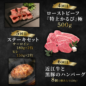 近江牛をまるっと1年お楽しみ【500,000円】（12回定期便）sen15