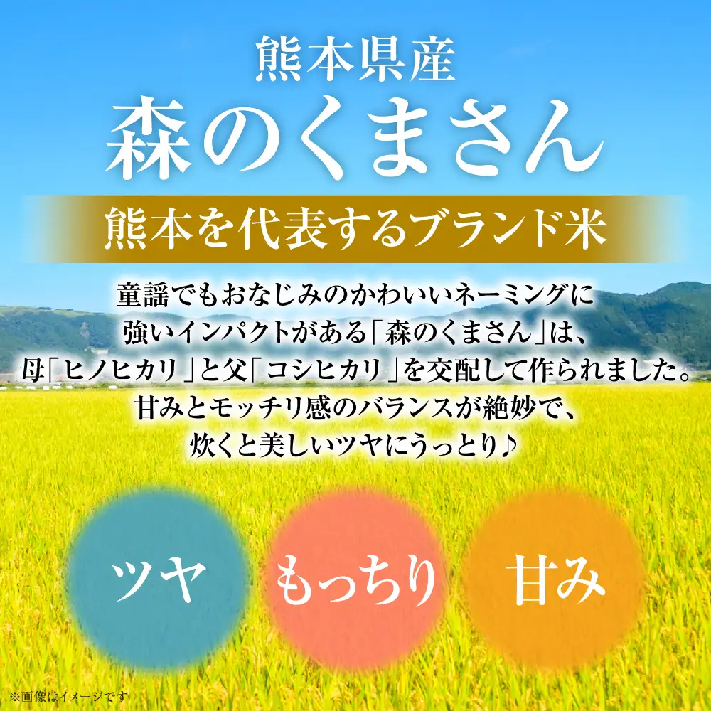 【令和7年産】 熊本県産 森のくまさん 5kg (5kg×1袋) オリジナルパッケージ 米 お米 精米 白米 ごはん ご飯 熊本
