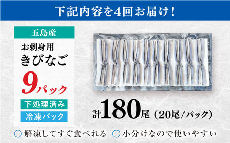 【4回定期便】五島産 刺身用きびなご 20尾×9P 五島市/鯛福丸水産[PDP016]