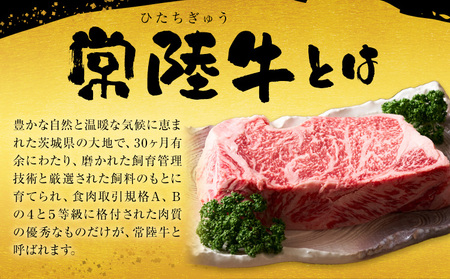 常陸牛黒毛和牛サーロインステーキ 400g 有限会社加治 肉のカジ《30日以内に出荷予定(土日祝除く) 》国産牛【配送不可地域あり】（沖縄・離島）【茨城県共通返礼品】