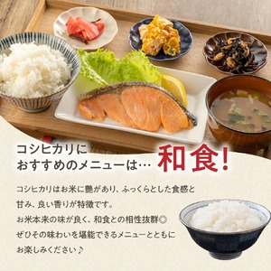 3ヶ月 定期便 令和7年産 コシヒカリ 10kg×3回 計30kg