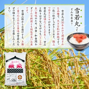 3ヶ月 定期便 令和7年産 雪若丸 5kg×3回 計15kg