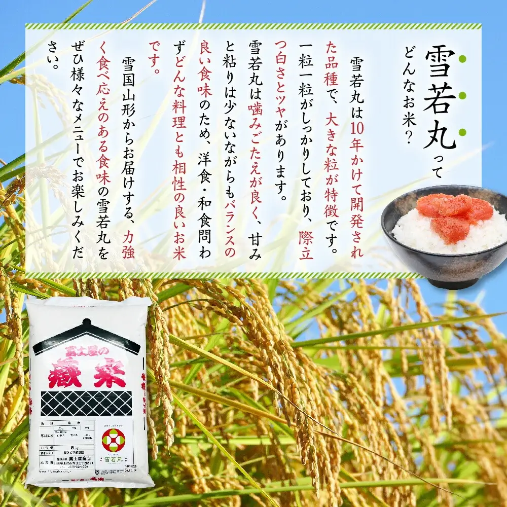 令和7年産 雪若丸 5kg 精米 山形
