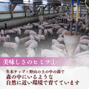 【9ヶ月定期便】千葉県産 下山農場 SPF豚 「 ほころぶた 」（ 焼き肉用 ） ／ SPF豚 豚肉 ほころぶた 焼き肉 焼肉 ロース 肩ロース 定期便