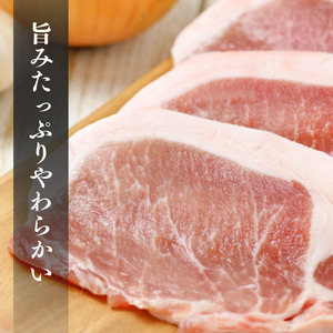 【9ヶ月定期便】千葉県産 下山農場 SPF豚 「 ほころぶた 」（ しゃぶしゃぶ用 ） ／ SPF豚 豚肉 ほころぶた しゃぶしゃぶ ロース 肩ロース 定期便