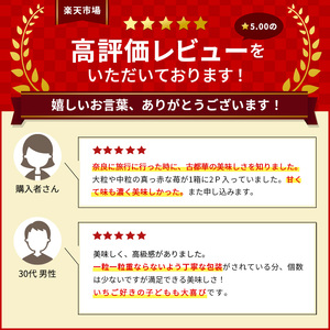 先行予約 【2回定期便】いちご 完熟 古都華 約540g(270g×2パック ) 奈良 ブランド イチゴ フルーツ ことか BN001