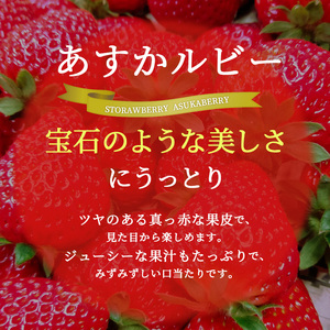 先行予約 【2回定期便】いちご 完熟 あすかルビー 約540g 奈良 ブランド イチゴ フルーツ BN001