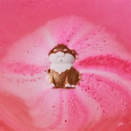 LUSH (ラッシュ) ワンダフルな日本をお風呂で満喫!富士山＆柴犬 ギフト バスボム3種セット【1694434】