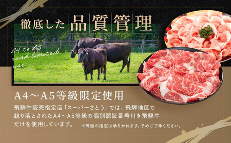 飛騨牛 焼肉 肩ロース200g & 飛騨豚 ロース300g ファミリーストアさとう CY038VC13