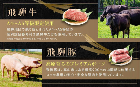飛騨牛 焼肉 カルビ200g & 飛騨豚 バラ300g ファミリーストアさとう CY043VC13