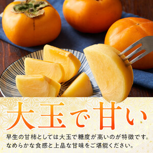 1258.【先行予約】輝太郎柿　赤秀3kg（7～10玉）