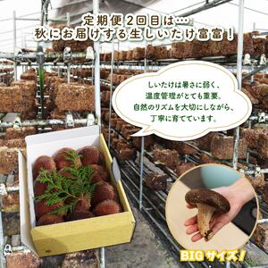 野菜【 全2回 定期便 】 野菜 とうもろこし しいたけ JGAP 先行予約