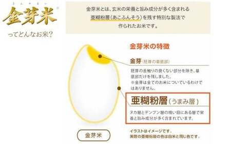 BG 無洗米 金芽米 にこまる 10kg （5kg×2袋） 計量カップ付き 【価格改定XA】【30-SS-65】