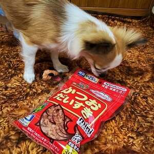 ペットフード マルトモ 減塩かつおだいすきソフトミニ30g×15個セット おやつ ふりかけ かつお 鰹 ソフト 減塩 犬 猫 国産 国内加工 保存料 着色料 不使用 伊予市｜C155