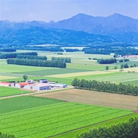 【毎月定期便】北海道産 ななつぼし 無洗米 10kg (5kg×2袋)〈令和6年 特A受賞〉全3回【4073382】