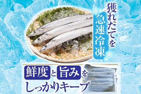 【北海道根室産】冷凍生さんま500g×4P（計2kg） A-19016