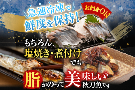 【北海道根室産】タラバガニむき身300g×1P・冷凍さんま5尾×5Pセット C-36081