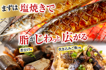 【北海道根室産】タラバガニむき身300g×1P・冷凍さんま5尾×5Pセット C-76050