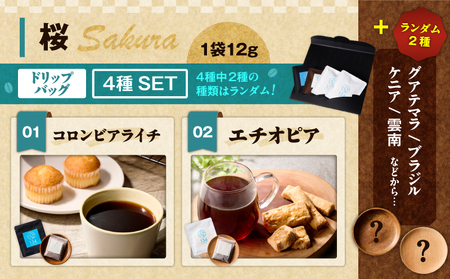 【 桜 】スペシャリティコーヒー の ドリップバック 4種セット M123-006 飲料