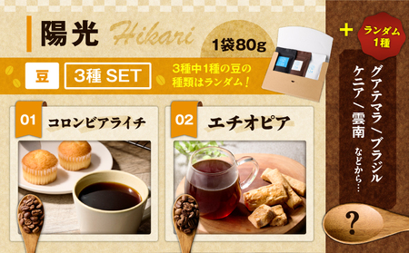 【 陽光 】 スペシャリティコーヒー 豆3種 セット M123-008 飲料